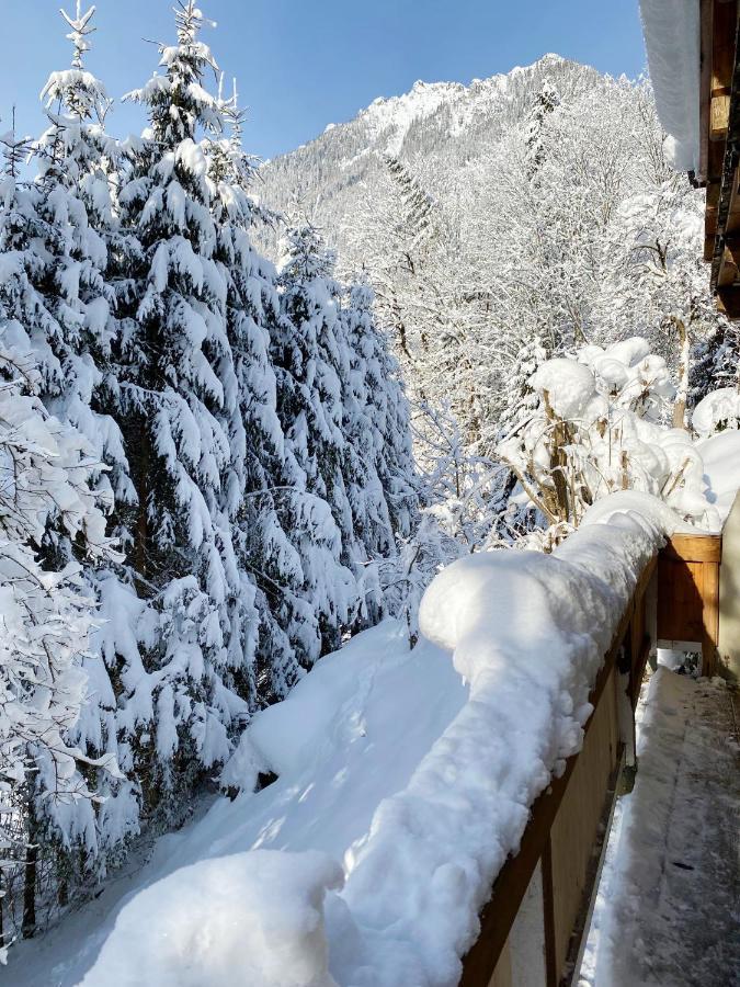 Appartement Steinfisch Рамзау-ам-Дахштайн Екстер'єр фото